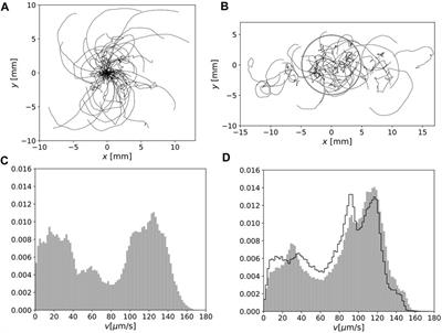 Long-time behavior of swimming Euglena gracilis in a heterogenous light environment